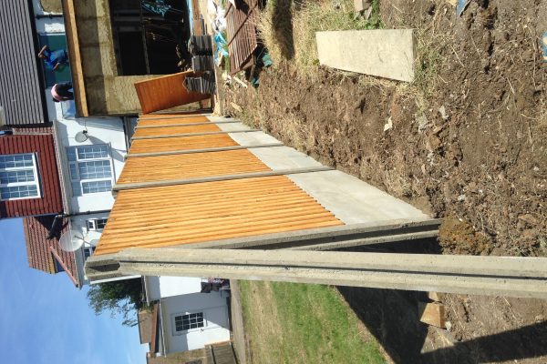 Photo 07-07-2017, 10 06 23 (1)