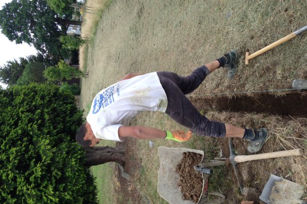 Photo 08-07-2017, 07 43 52 (1)