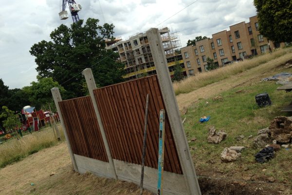 Photo 13-07-2017, 10 09 01 (1)