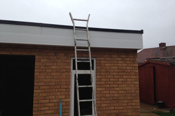 Photo 15-05-2017, 07 11 52 (1)