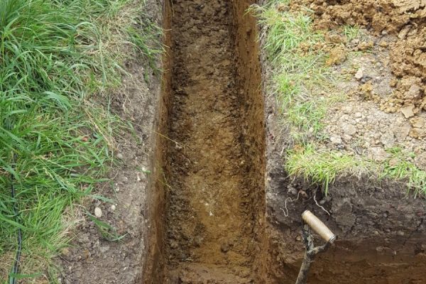 Photo 19-11-2017, 12 53 21